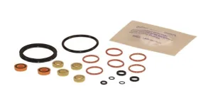 Graco 95/1661/50 Repair Kit, Twinmixer3, Std Act, 