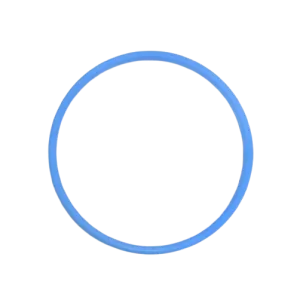Graco 117285 O-Ring Packing