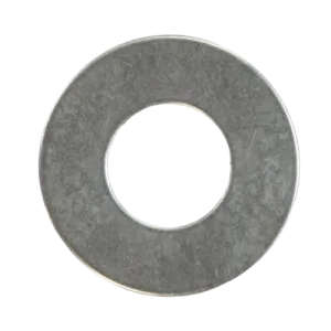 Graco 116073 E-10HP Thrust Washer