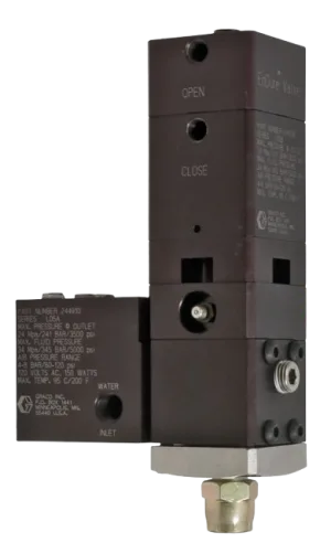 Graco 244910 Endure Valve, Amb Or T/C