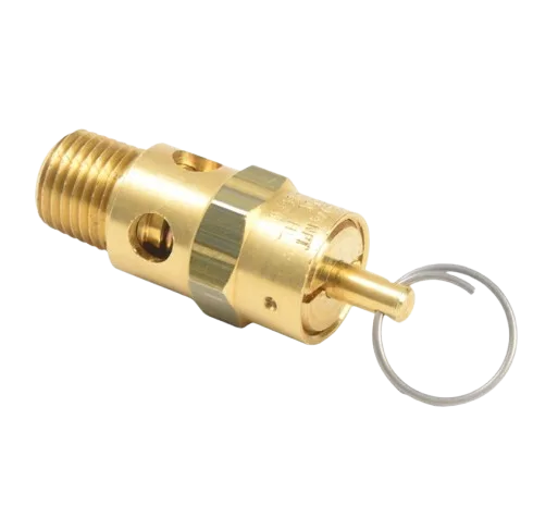 Graco 113498 110 Psi Safety Valve  – Part #113498