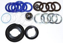 Graco 25D237 Full PE/LTHR Repair Kit (250)